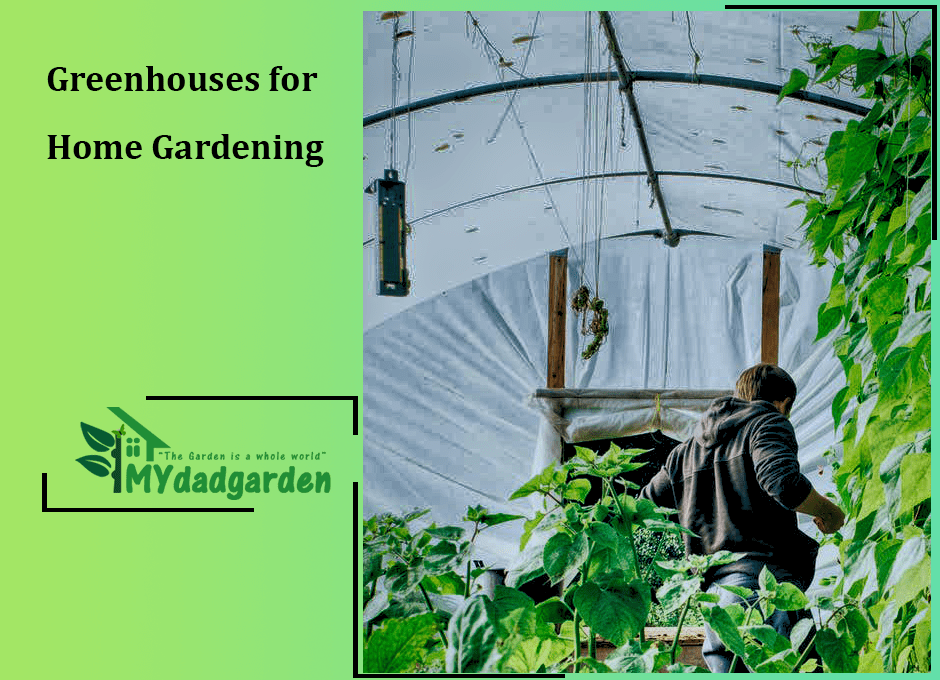Greenhouses for Home Gardening
