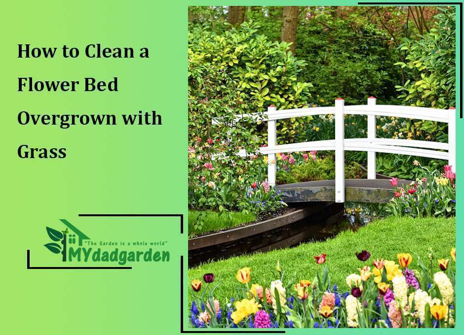 How to Clean a Flower Bed Overgrown with Grass