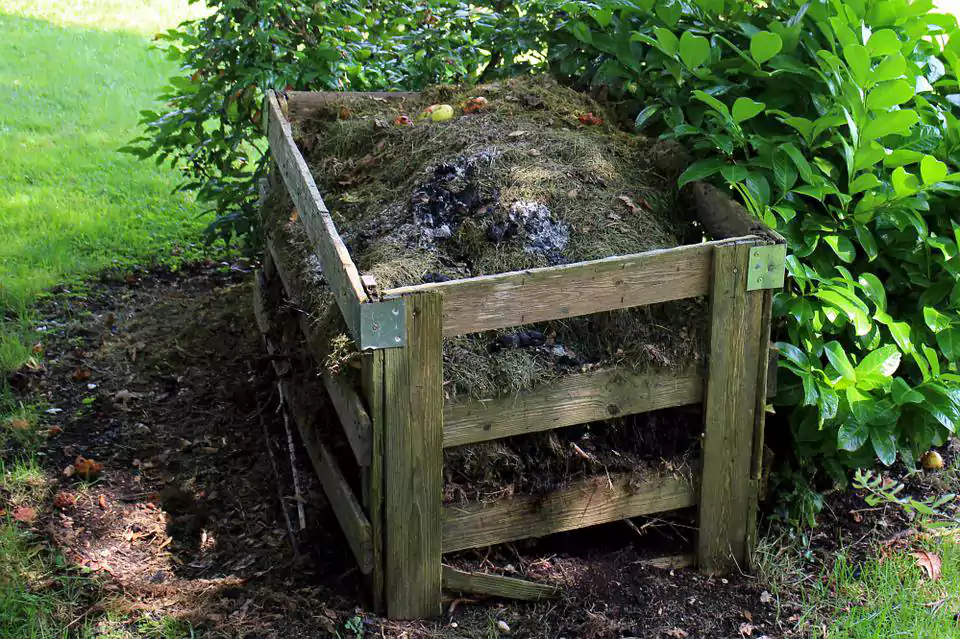 Do compost piles attract Mosquitoes?